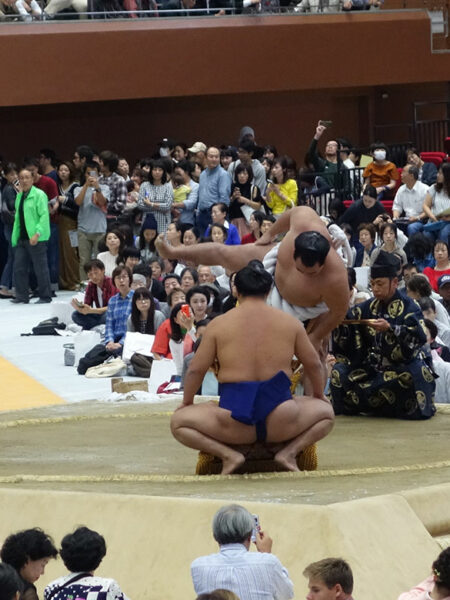 Sumo