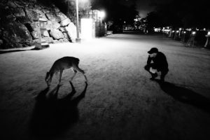 Miyajima Island