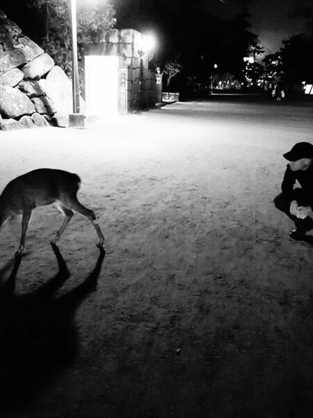 Miyajima Island