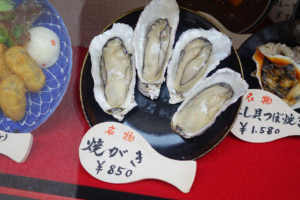 Fake oysters on display