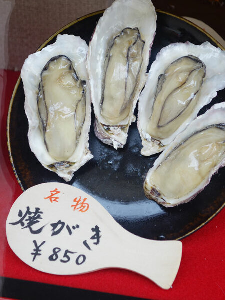Fake oysters on display