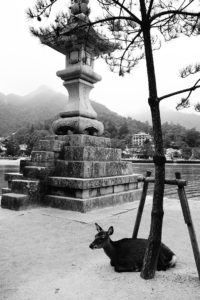 Miyajima Island