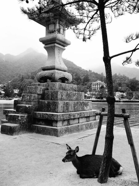 Miyajima Island