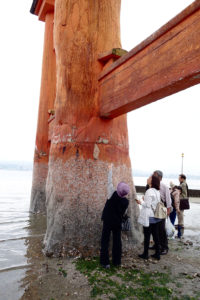 Miyajima Island