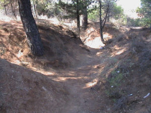 Remains of the trenches