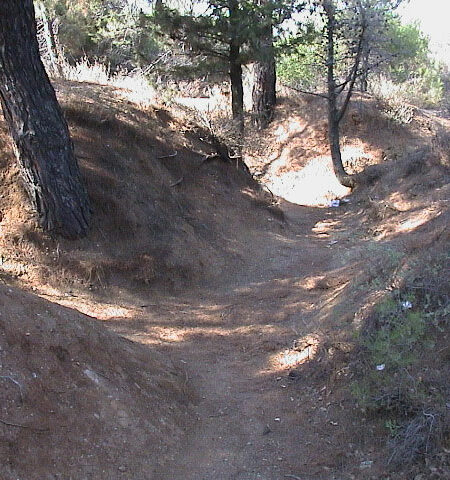 Remains of the trenches