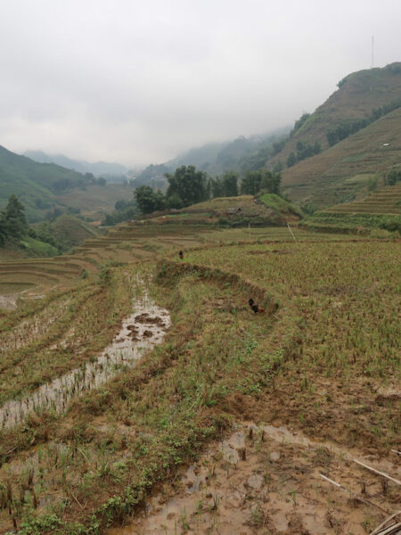 Muong Hoa Valley