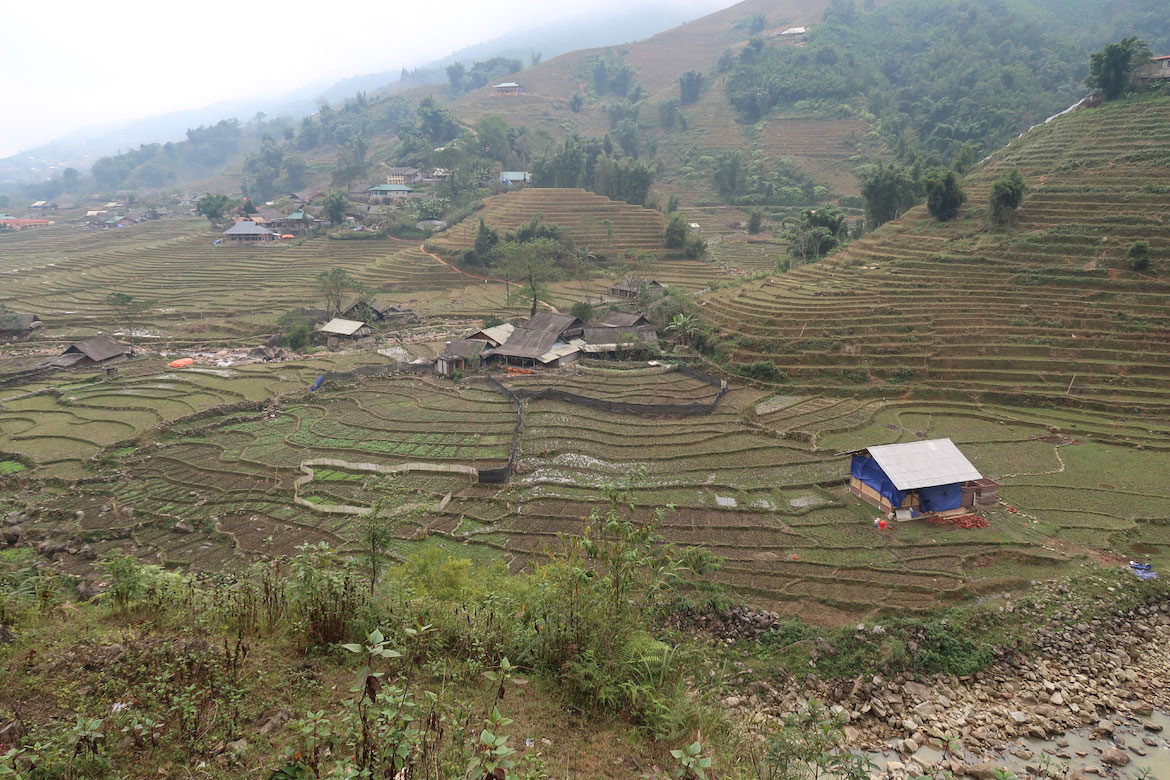 Sapa: Trekking