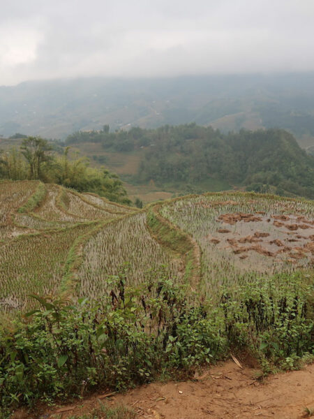 Muong Hoa Valley