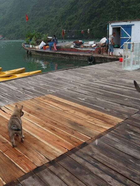 Lan Ha Bay kayaking