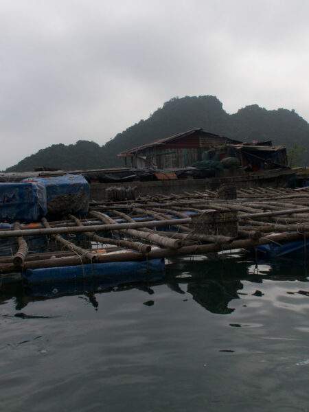 Lan Ha Bay kayaking