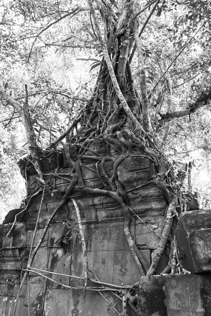 Beng Mealea