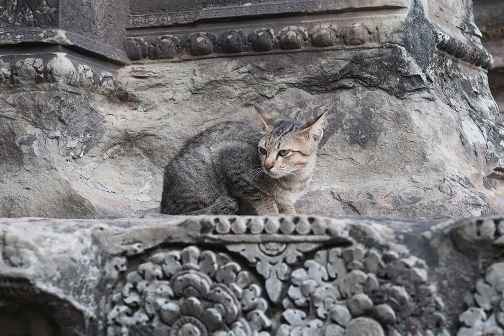 Angkor Wat