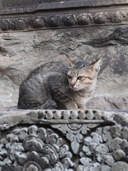 Angkor Wat