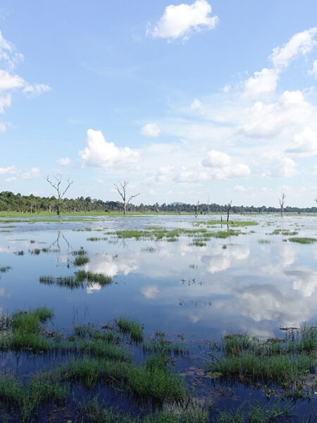 Lake on the walk to Neak Poan