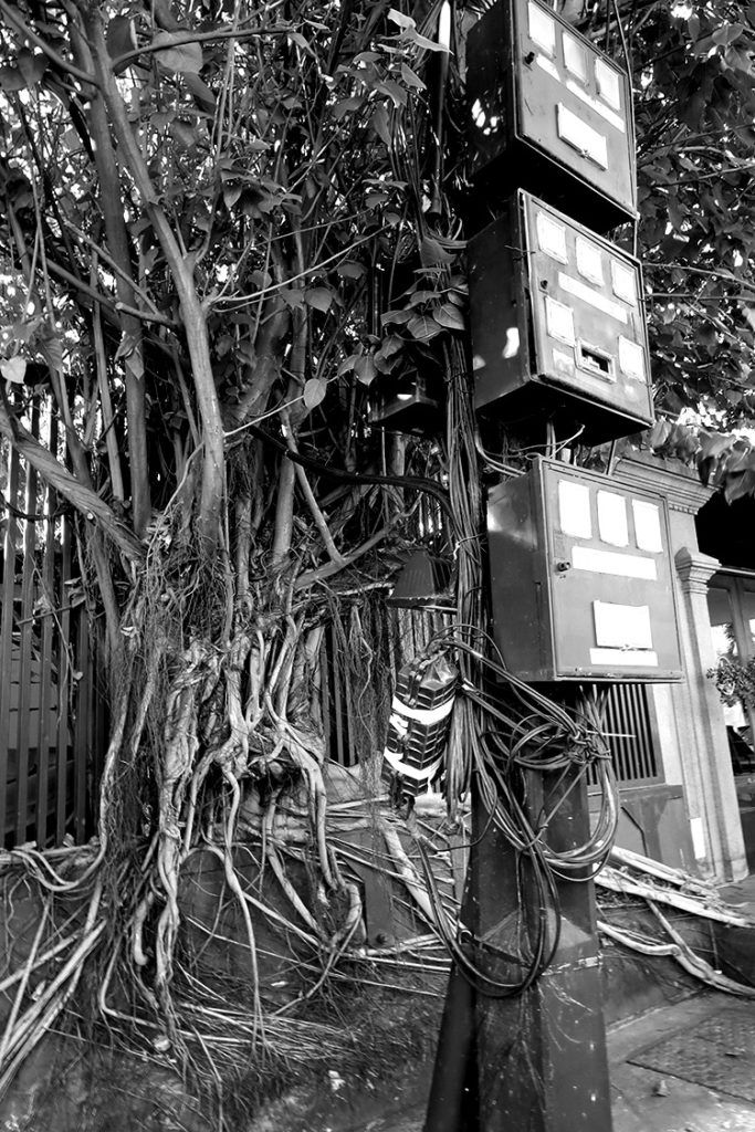 Phnom Penh street