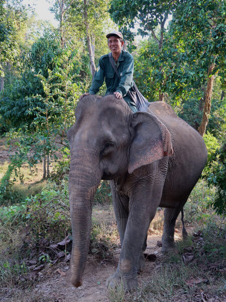 Elephant Conservation Centre