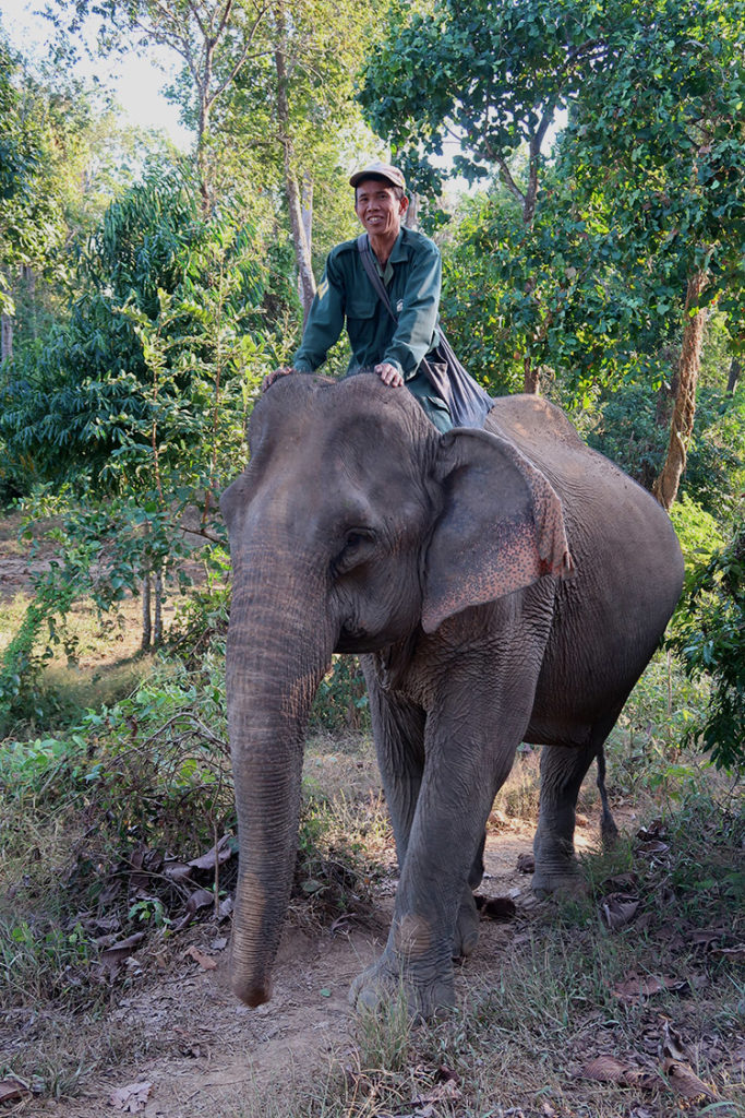 Elephant Conservation Centre