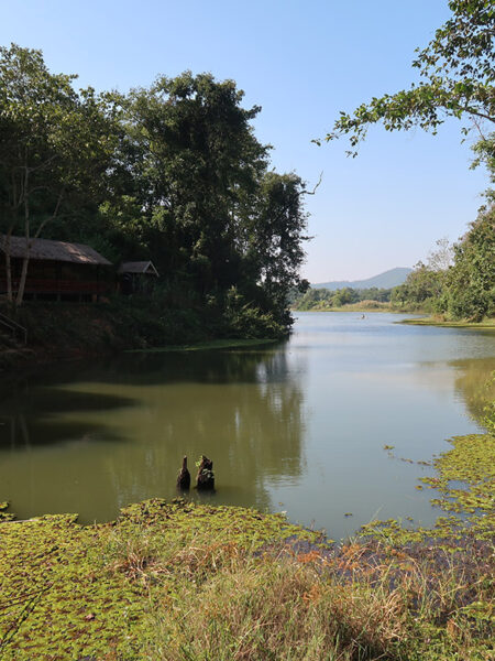 Elephant pool