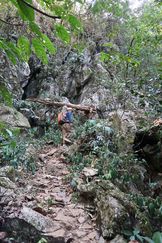Trekking