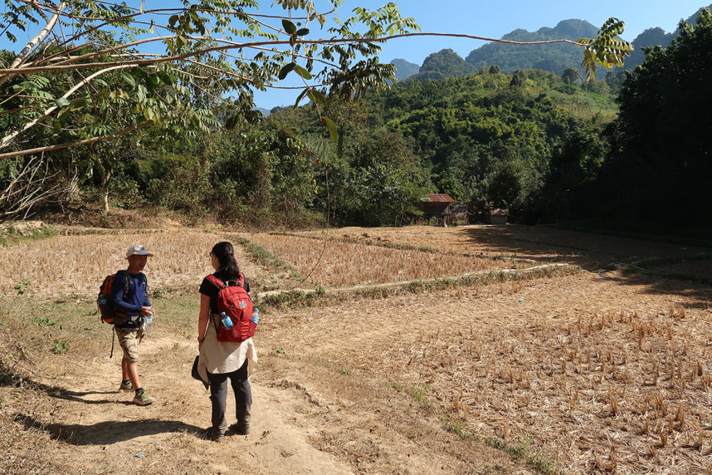 Trekking
