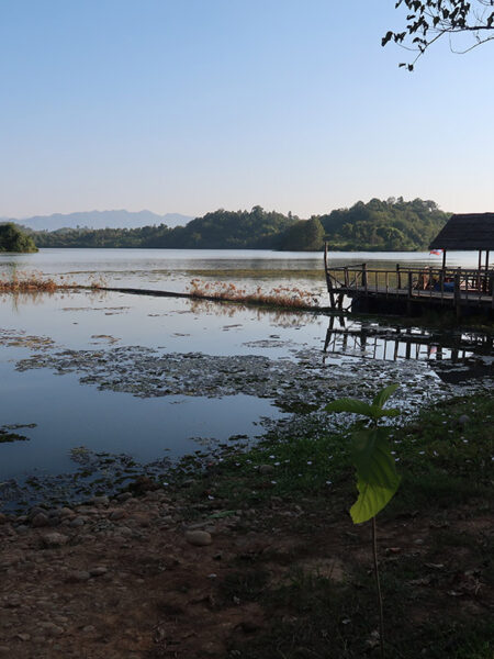 Elephant Conservation Centre