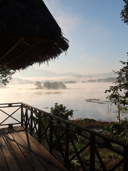 Morning from our bungalow