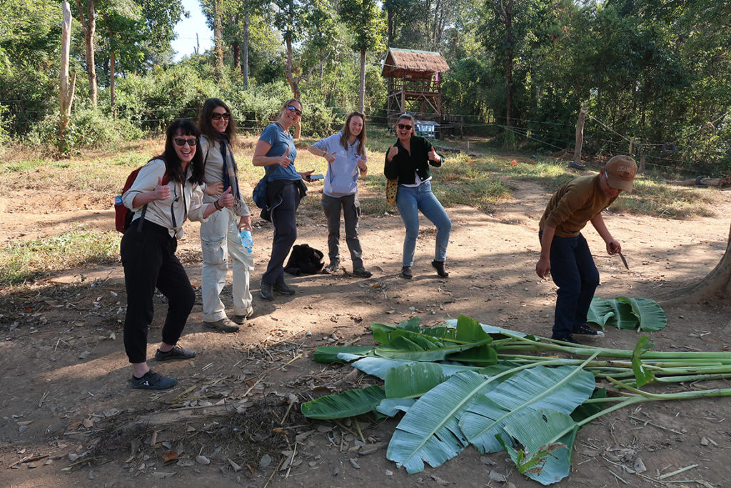 Elephant feeding crew