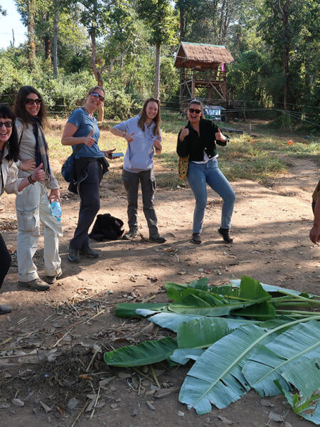 Elephant feeding crew