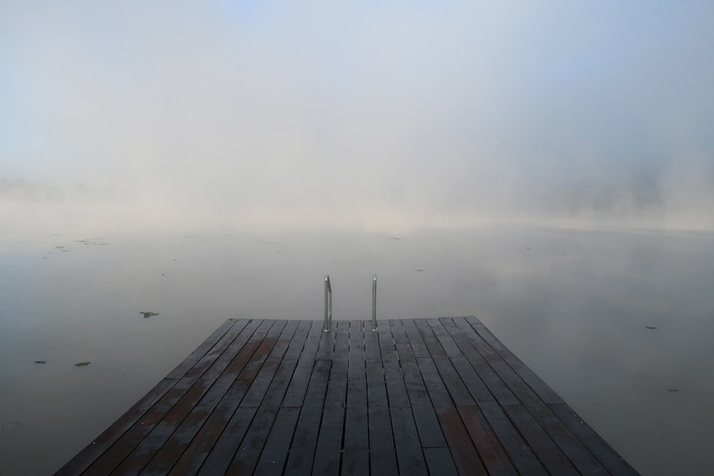 Morning by the water of the lake