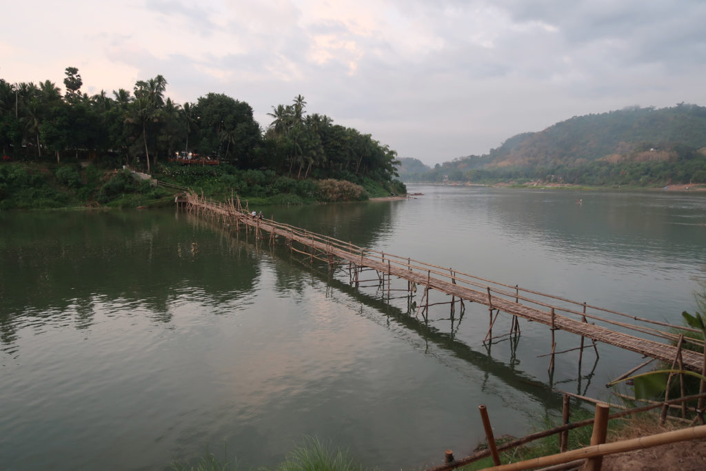 Bamboo bridge