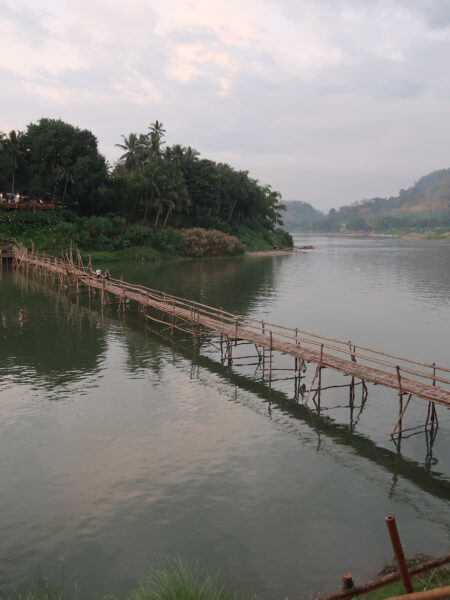 Bamboo bridge