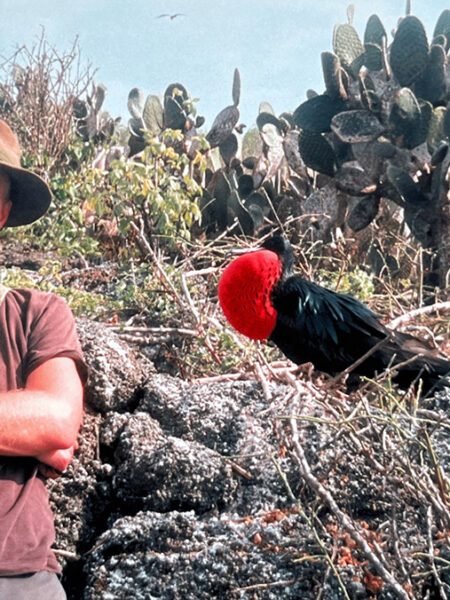 Me and a frigate bird