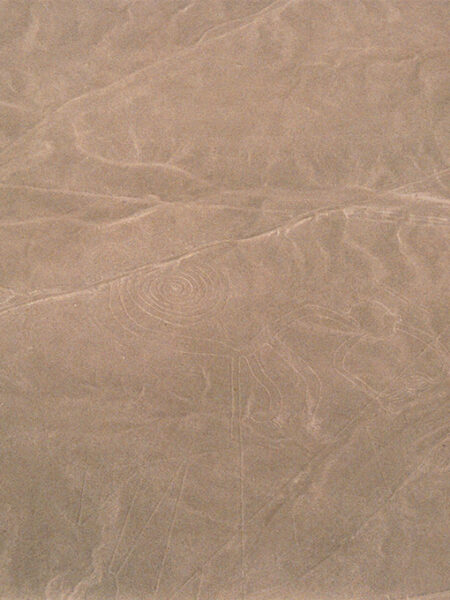 Nazca plains from the air (monkey)