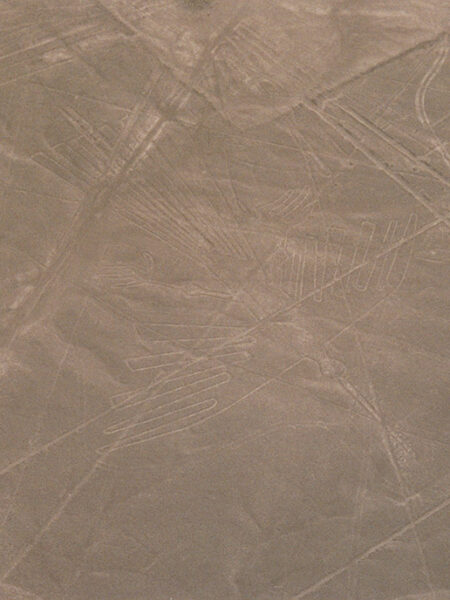 Nazca plains from the air (hummingbird)