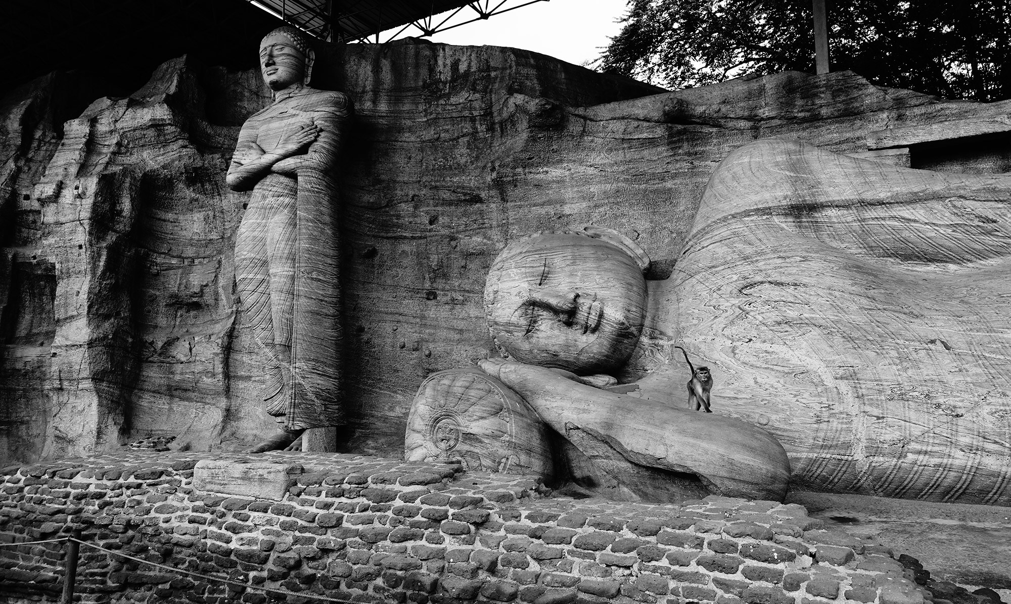 Three Weeks in Sri Lanka