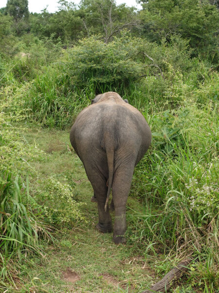 Hurulu Eco-Park