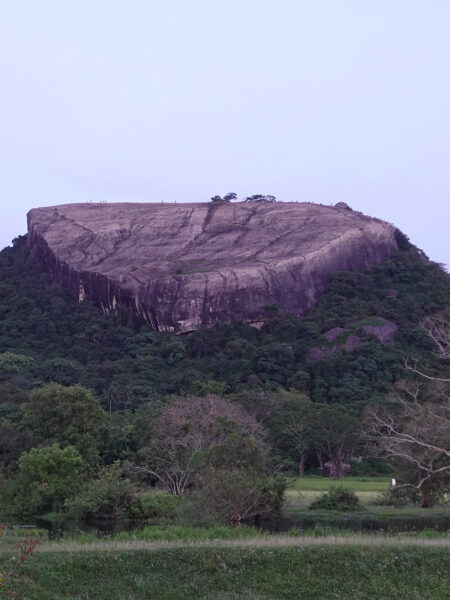 Pidurangala Rock
