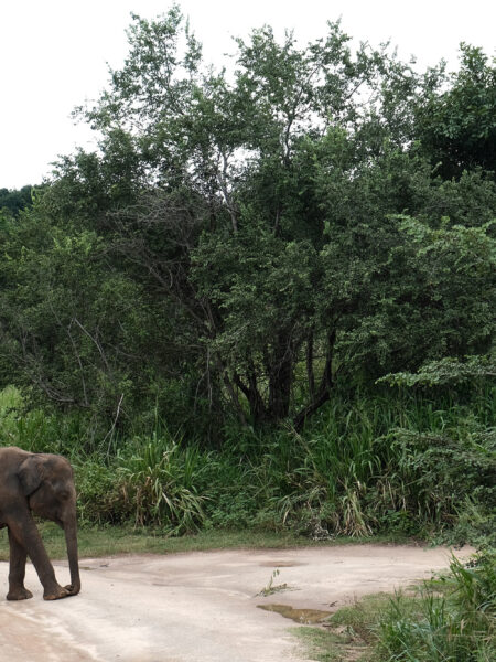 Hurulu Eco-Park