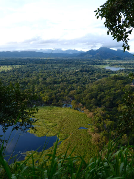 View from Sigiriya rock