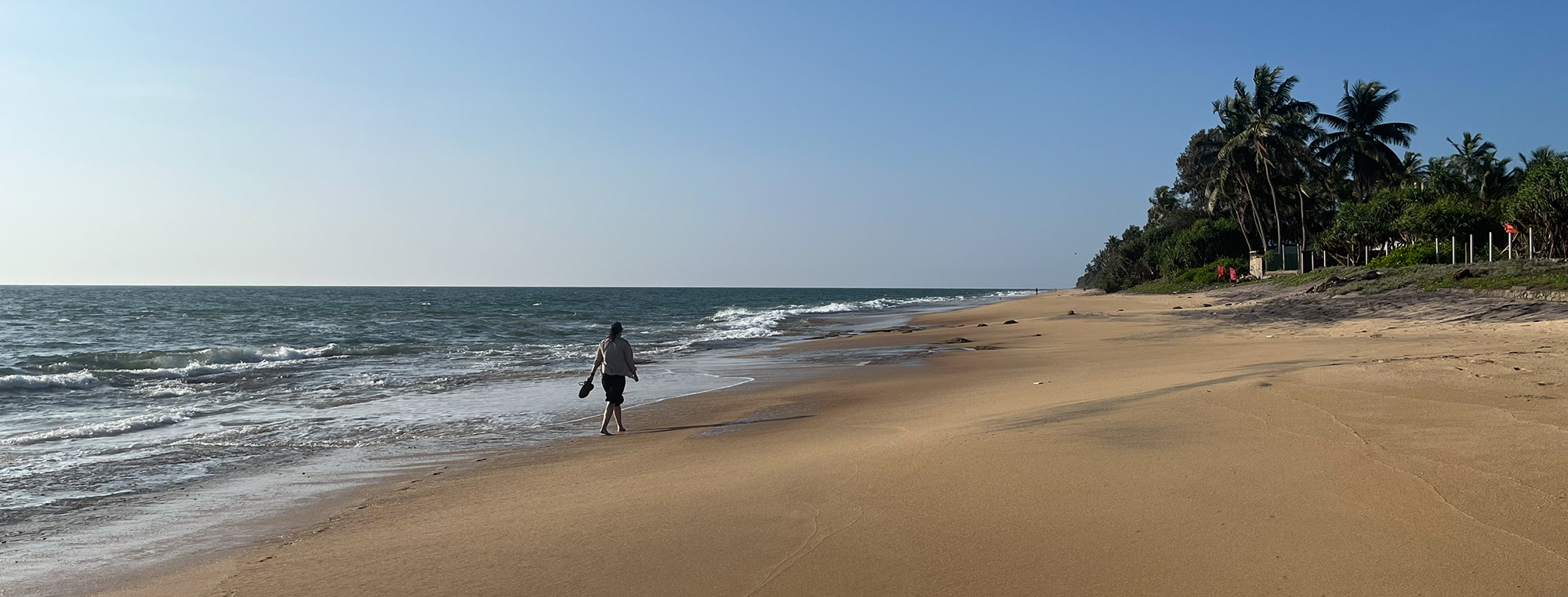 Galle-Negombo: Architecture and Insect Bites