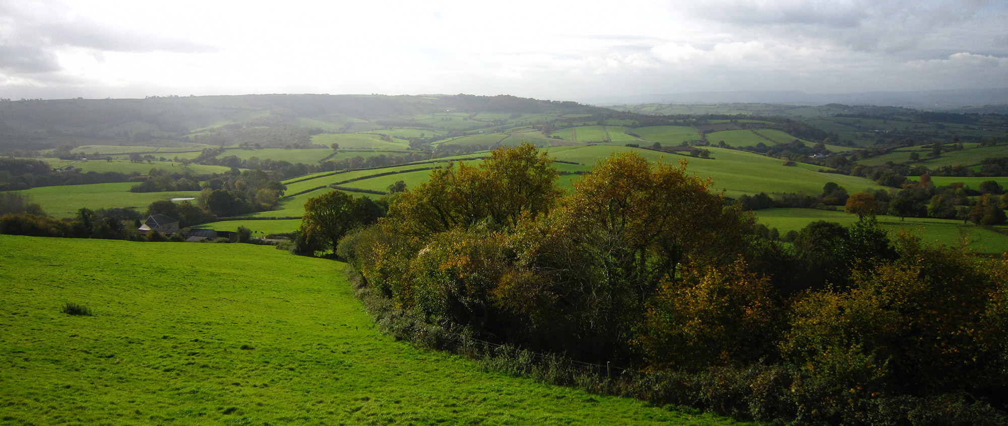 Two Weeks in the United Kingdom